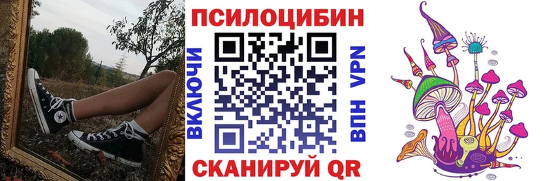 Галлюциногенные грибы Magic Shrooms  Артём 